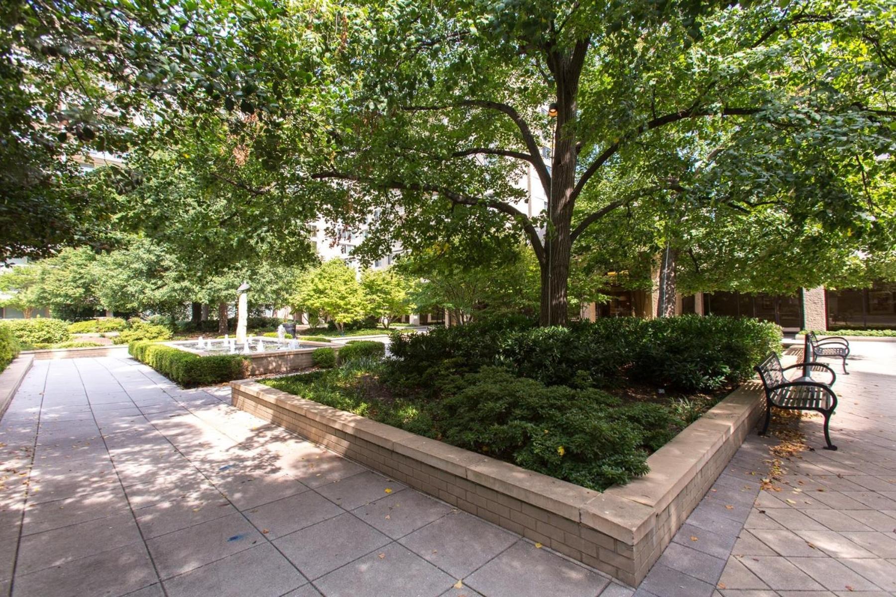 Spacious 2 Bedrooms Apt @Crystal City With Gym Arlington Exterior photo
